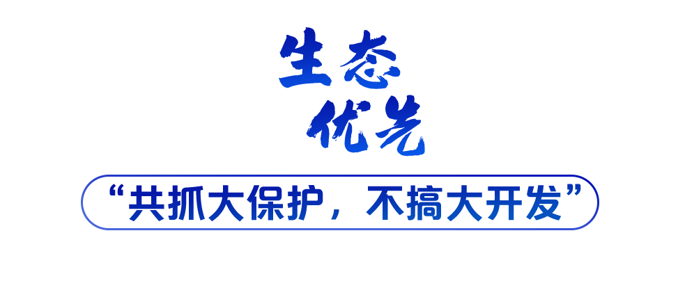 學(xué)習(xí)關(guān)鍵詞丨聽，長江經(jīng)濟(jì)帶高質(zhì)量發(fā)展“協(xié)奏曲”