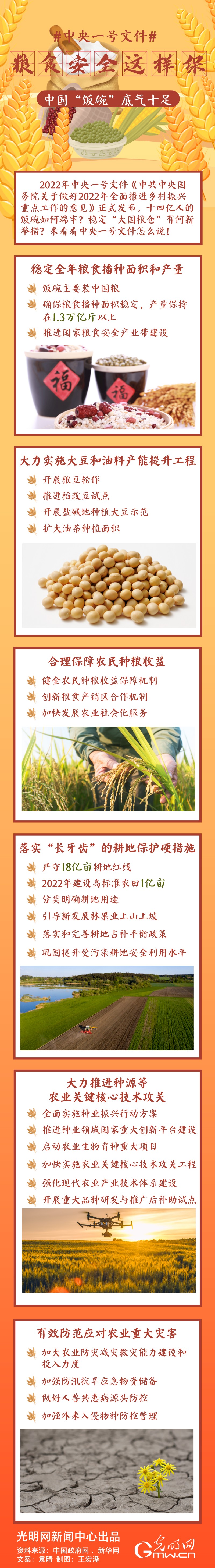 中央一號文件｜糧食安全這樣保，中國“飯碗”底氣十足
