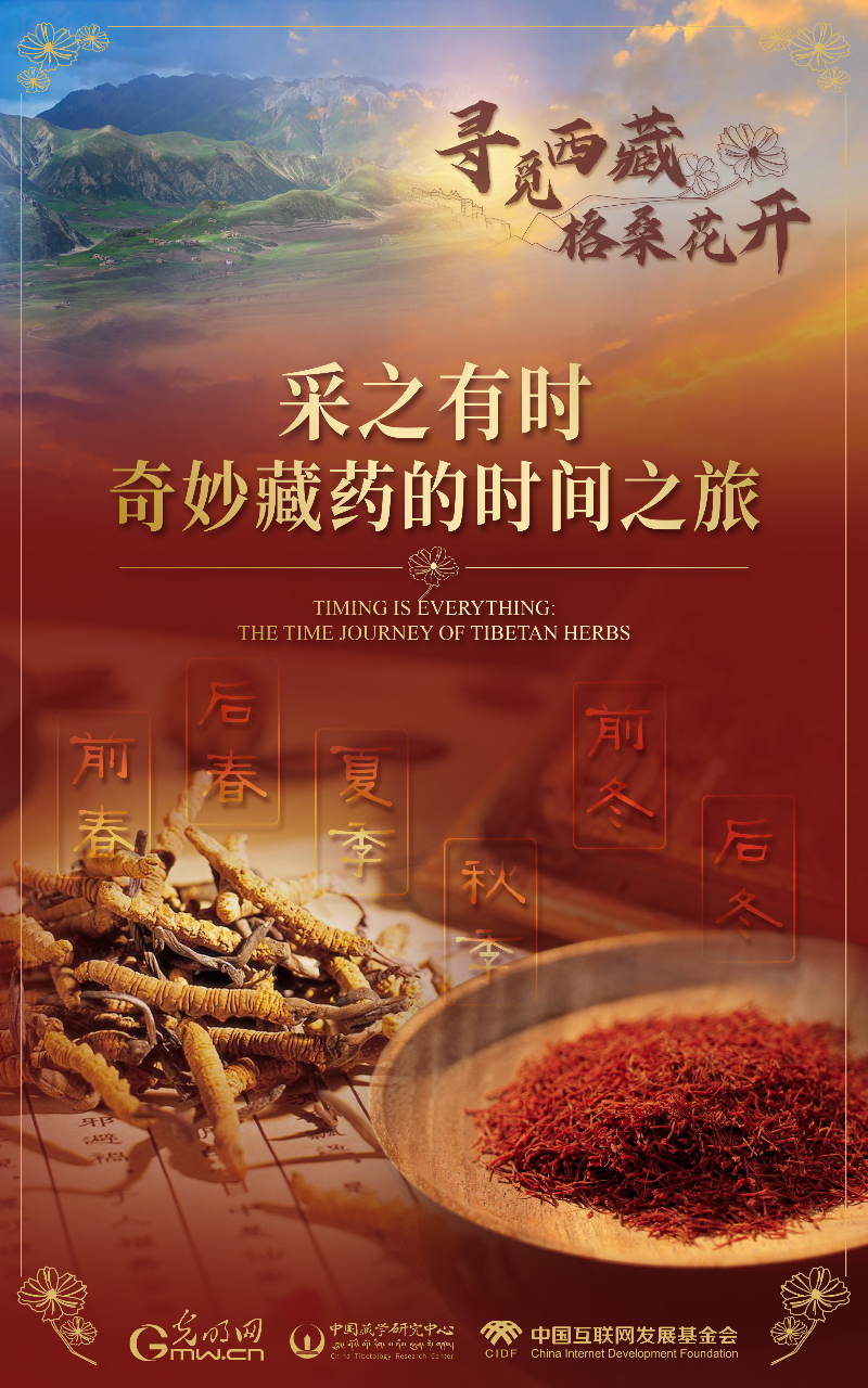 【尋覓西藏·格?；ㄩ_(kāi)】采之有時(shí)：奇妙藏藥的時(shí)間之旅