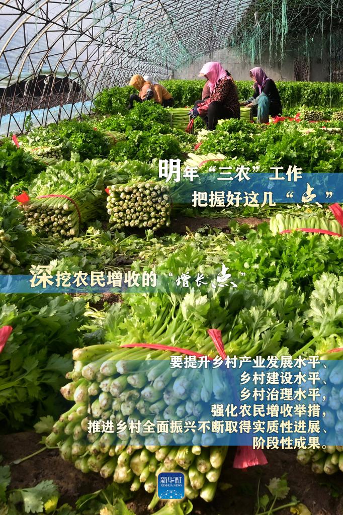 明年“三農(nóng)”工作，這幾個“點”要把握好
