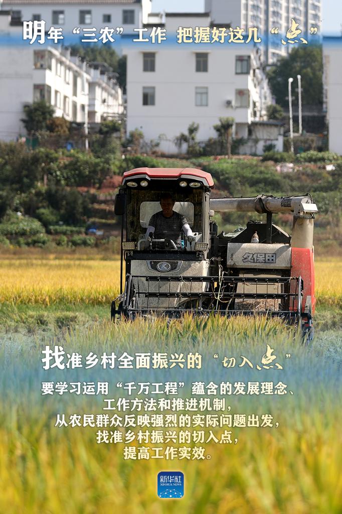 明年“三農(nóng)”工作，這幾個“點”要把握好