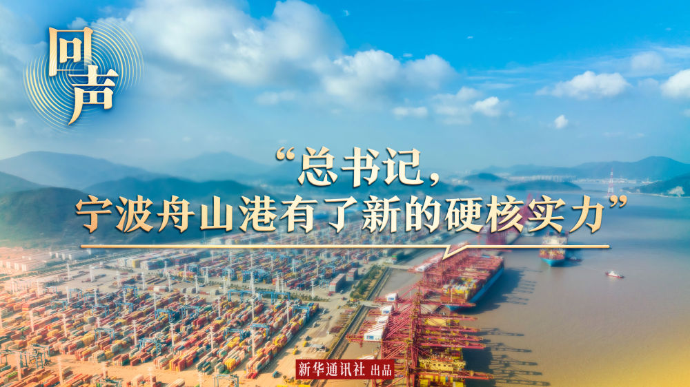 回聲｜“總書記，寧波舟山港有了新的硬核實力”
