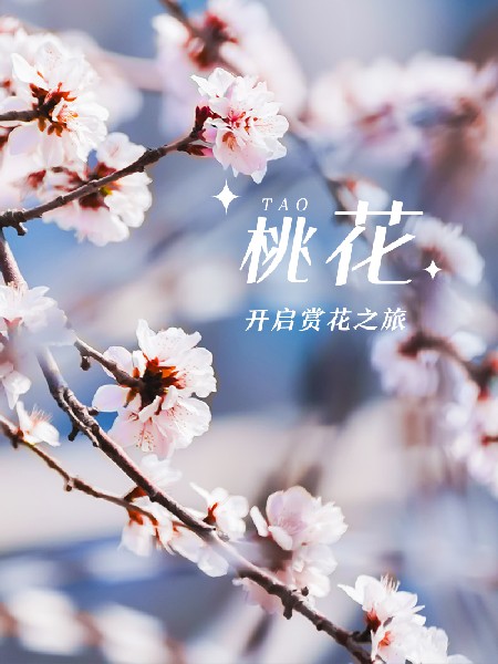 追花指南第三期！別等了 今天就去和桃花撞個(gè)滿懷