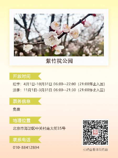 追花指南第六期！杏花雨 楊柳風 北京最美的杏花在這里