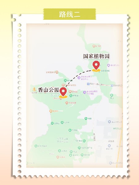 追花指南第六期！杏花雨 楊柳風 北京最美的杏花在這里