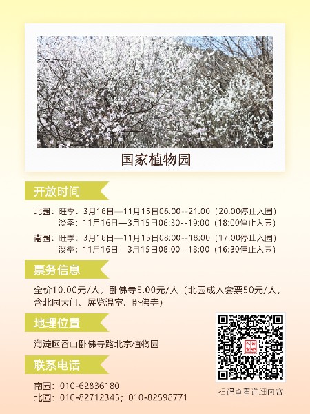 追花指南第六期！杏花雨 楊柳風 北京最美的杏花在這里