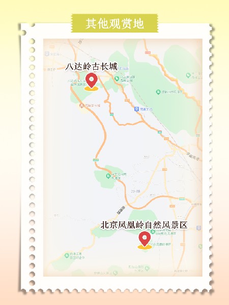 追花指南第六期！杏花雨 楊柳風 北京最美的杏花在這里