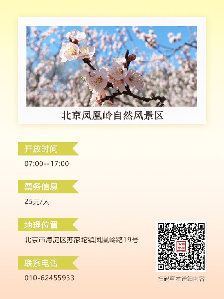 追花指南第六期！杏花雨 楊柳風 北京最美的杏花在這里