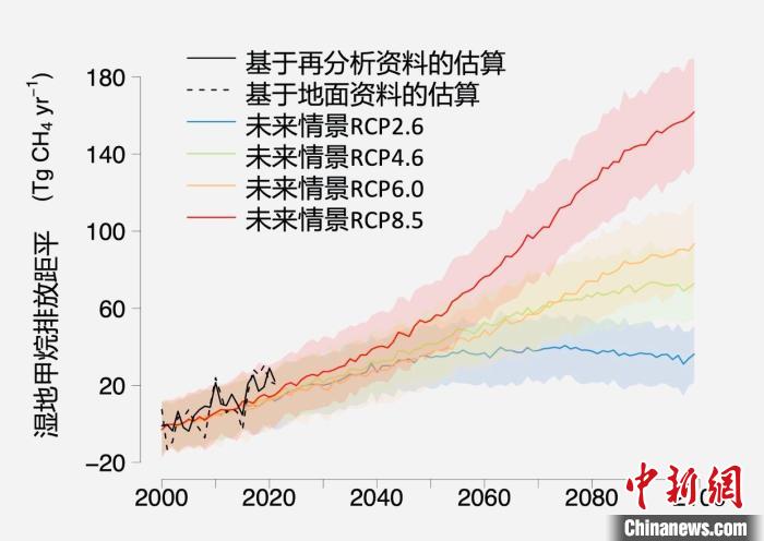 基于觀測的濕地甲烷排放變化與未來氣候變化情景下估算的對比?！≈锌圃呵嗖馗咴?供圖