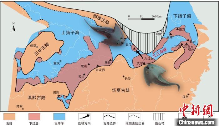 華南地區(qū)志留紀(jì)早期古地理圖和盔甲魚類化石產(chǎn)地(山顯任改自陳旭、戎嘉余，1996；戎嘉余等，2012) 中科院古脊椎所 供圖
