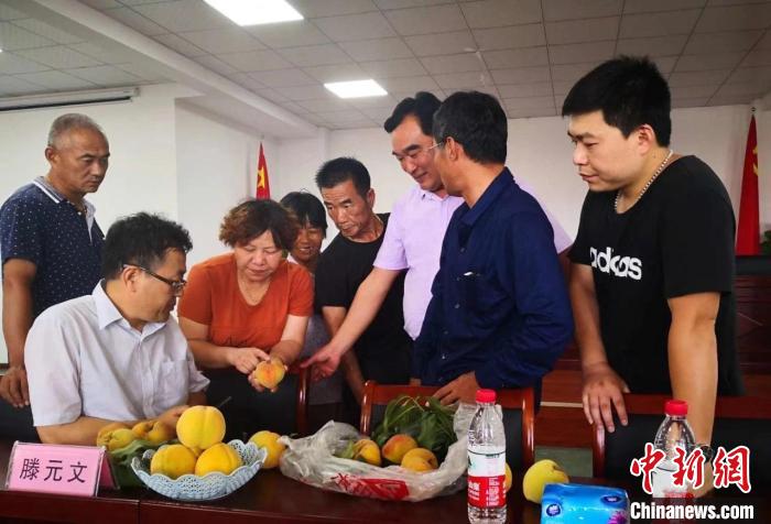 民進浙江省委會為三里橋黃桃種植戶送技術、送指導。　嘉善統(tǒng)戰(zhàn) 供圖