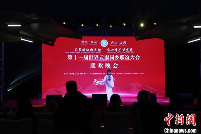 圖為第十一屆世界云南同鄉(xiāng)聯(lián)誼大會(huì)舉辦聯(lián)歡晚會(huì)。　崔永江 攝