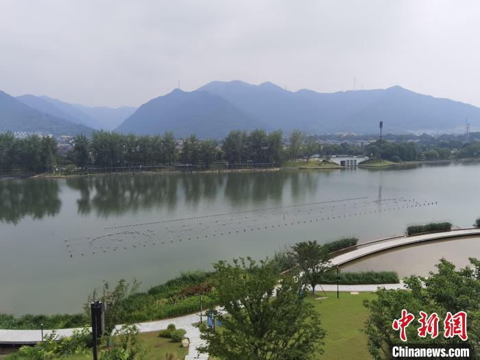 兩岸媒體共探杭州亞運(yùn)會(huì)“綠”在何處？