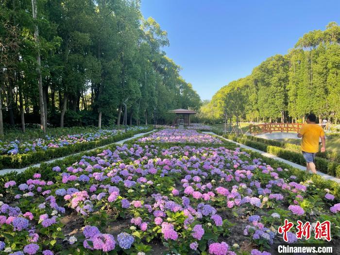 納民意、匯民智上海努力讓“公園城市”建設(shè)真正“合民心”