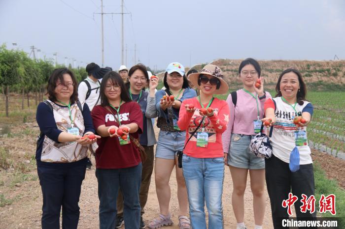 圖為臺(tái)胞體驗(yàn)大美內(nèi)蒙古?！⊥袐I供圖