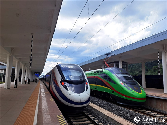 “復(fù)興號”和“瀾滄號”國際旅客列車?？吭诶蠐肽ザ≌?。人民網(wǎng) 杜明明攝