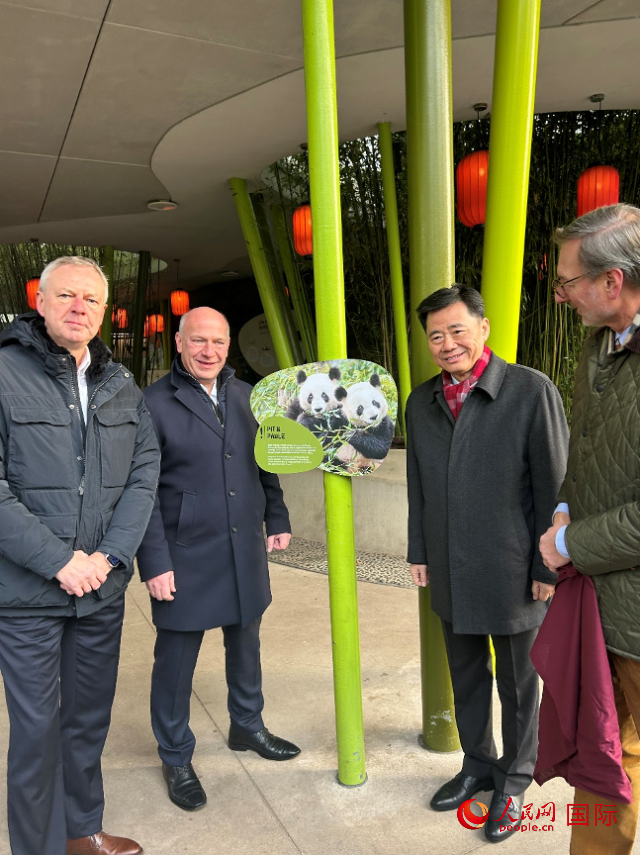 中國駐德國大使吳懇（右二）、柏林市長韋格納（左二）、動物園園長克尼里姆（右一）和監(jiān)事會主席布魯克曼（左一）共同為“夢想”“夢圓”大熊貓紀念牌揭幕。人民網(wǎng)記者 徐馨攝