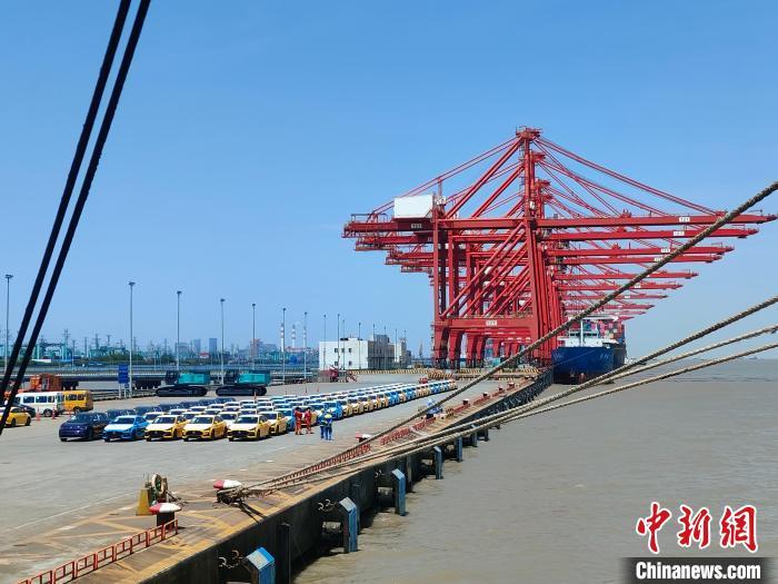 資料圖：國產(chǎn)新能源車在上海外高橋港區(qū)海通碼頭“整裝待發(fā)”。　浦帆 攝