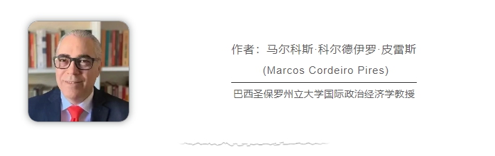 巴西學(xué)者：俄烏、巴以沖突再次暴露美西方“雙標(biāo)”本質(zhì)