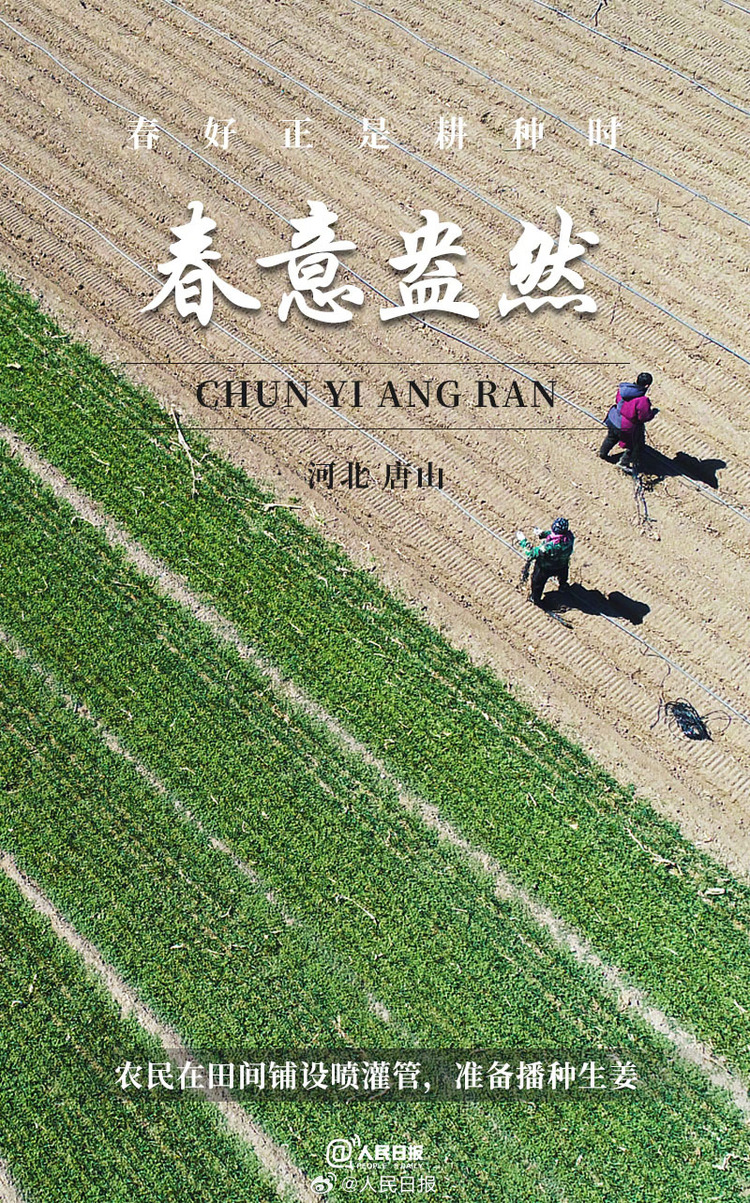生機(jī)盎然！用課本封面打開春耕畫卷