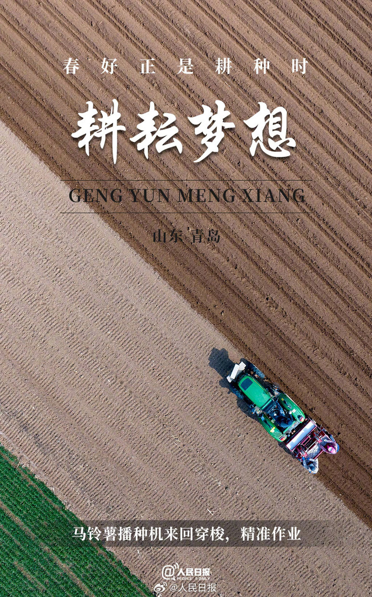 生機(jī)盎然！用課本封面打開春耕畫卷
