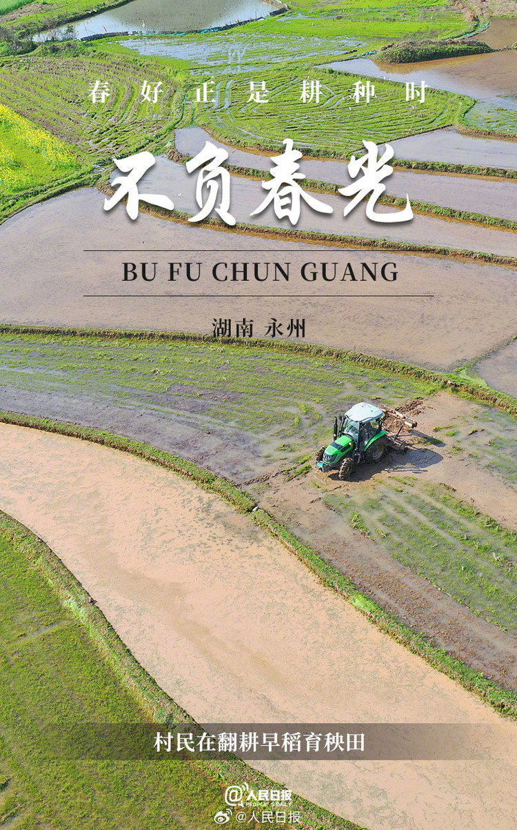 生機(jī)盎然！用課本封面打開春耕畫卷