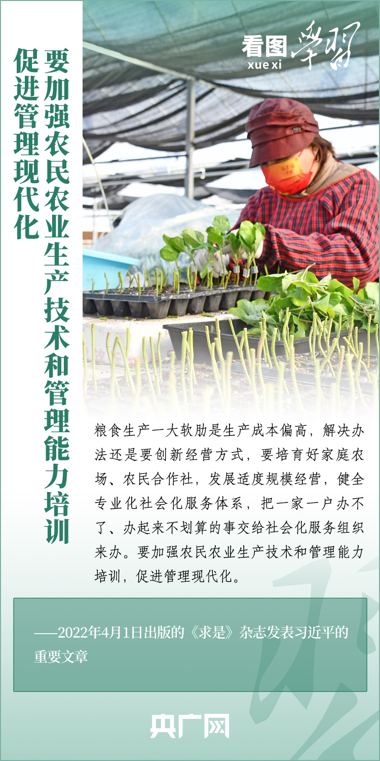 看圖學(xué)習(xí)丨推廣良田、良種、良法、良機(jī) 給農(nóng)業(yè)現(xiàn)代化插上科技的翅膀
