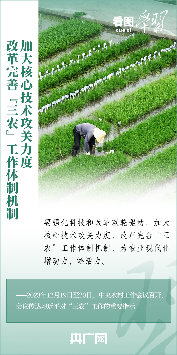 看圖學(xué)習(xí)丨推廣良田、良種、良法、良機(jī) 給農(nóng)業(yè)現(xiàn)代化插上科技的翅膀