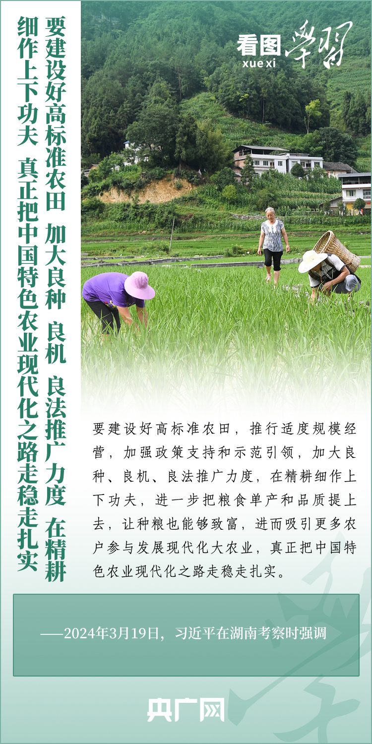 看圖學(xué)習(xí)丨推廣良田、良種、良法、良機(jī) 給農(nóng)業(yè)現(xiàn)代化插上科技的翅膀