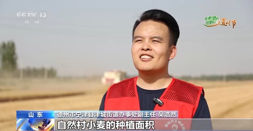 “三夏”生產(chǎn)思維導(dǎo)圖安排上了！還有政府大院等你來“曬”