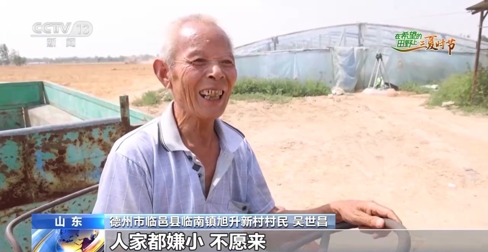 “三夏”生產(chǎn)思維導(dǎo)圖安排上了！還有政府大院等你來“曬”