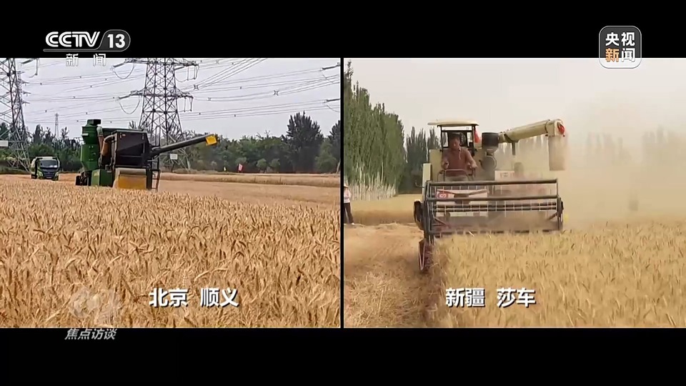 焦點(diǎn)訪(fǎng)談丨一粒良種 萬(wàn)擔(dān)好糧 探索農(nóng)作物高產(chǎn)高質(zhì)“新密碼”