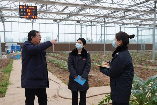 稅務(wù)干部走進常德市西洞庭管理區(qū)的朝鮮薊種植基地，宣傳稅費優(yōu)惠政策，助力農(nóng)企搶農(nóng)時、抓春耕、穩(wěn)增長。吳家豪攝