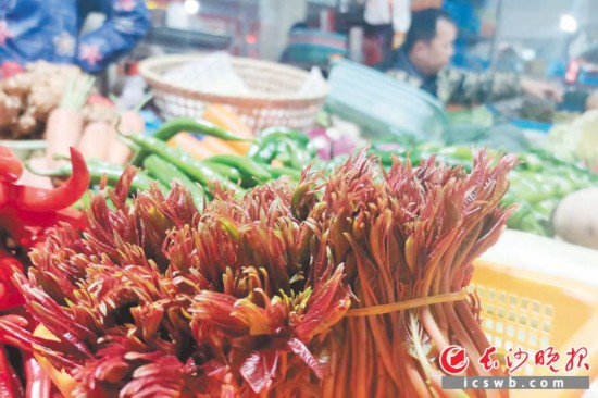 　　農(nóng)貿(mào)市場里鮮嫩的香椿?！　【鶠殚L沙晚報全媒體記者 劉捷萍 攝