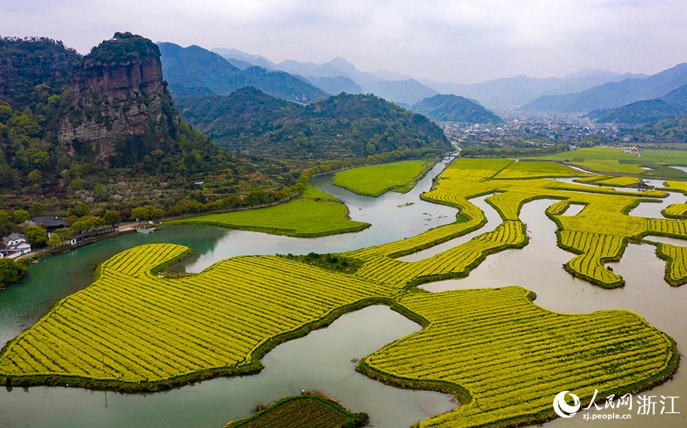 3月28日，航拍浙江省臨海市桃渚鎮(zhèn)桃江十三渚盛開的油菜花景色。人民網(wǎng) 章勇濤攝