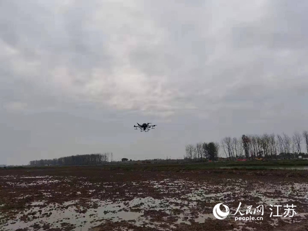 勝利圩高標(biāo)準(zhǔn)農(nóng)田進(jìn)行無(wú)人機(jī)水稻播種。陽(yáng)江鎮(zhèn)供圖