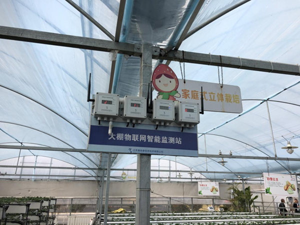 都市四季果園內(nèi)的物聯(lián)網(wǎng)智能監(jiān)測站系統(tǒng)。東?？h委宣傳部供圖