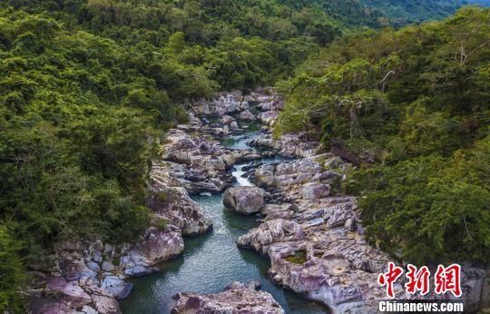 2018年海南生態(tài)環(huán)境狀況等級為“優(yōu)”，植被覆蓋率高，生物多樣性豐富，生態(tài)系統(tǒng)穩(wěn)定，圖為海南中部熱帶雨林。　駱云飛　攝