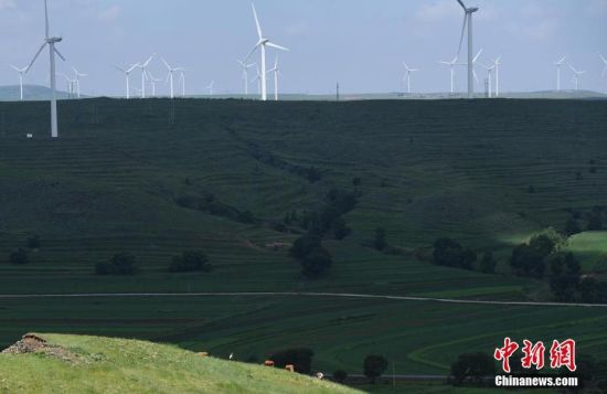 6月28日，河北張家口張北草原上大片風(fēng)力發(fā)電的“風(fēng)車(chē)”規(guī)模宏大。 中新社記者 楊艷敏 攝