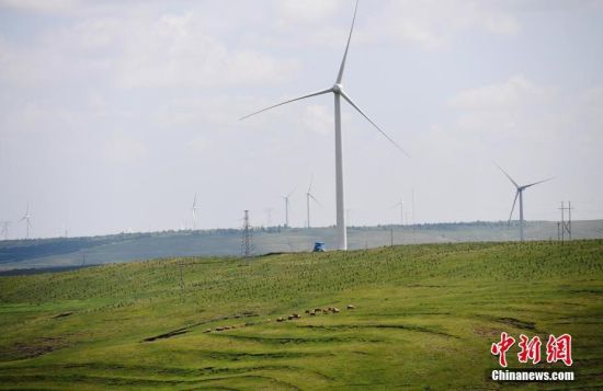 6月28日，河北張家口張北草原上大片風(fēng)力發(fā)電的“風(fēng)車(chē)”規(guī)模宏大。 中新社記者 楊艷敏 攝
