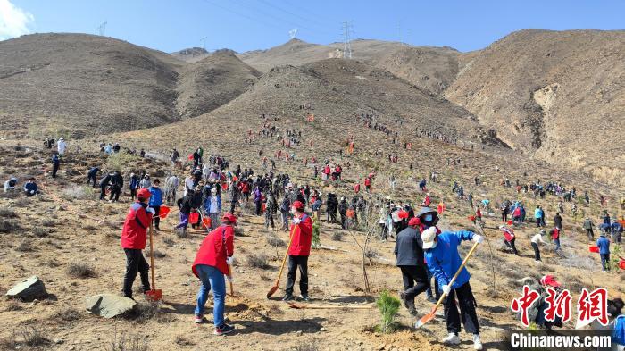 圖為組織開展植樹造林活動。　共青團(tuán)西藏自治區(qū)委員會供圖