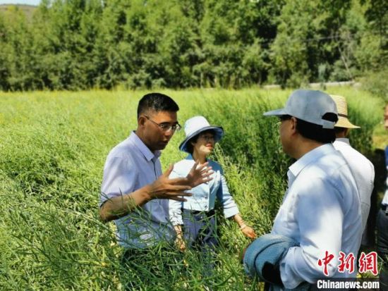 圖為九三學社青海省委主委杜德志(左一)在基層調(diào)研。受訪者供圖