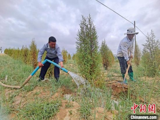 圖為扎西和村民給樹澆水。　祁增蓓　攝