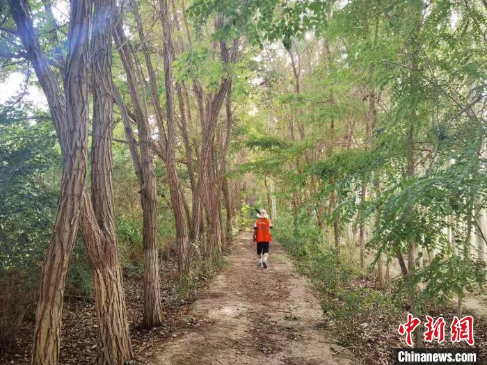 戈壁灘上的護林員：以前風吹睜不開眼，現(xiàn)在滿眼皆綠色