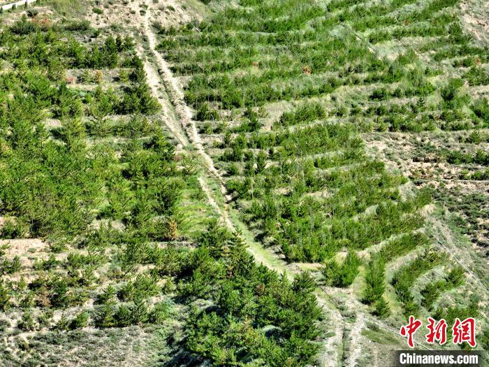 航拍建行青海省分行綠化區(qū)?！∑钤鲚?攝