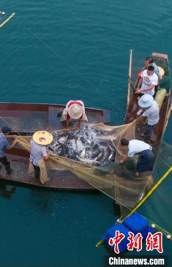 捕魚現(xiàn)場。　主辦方供圖