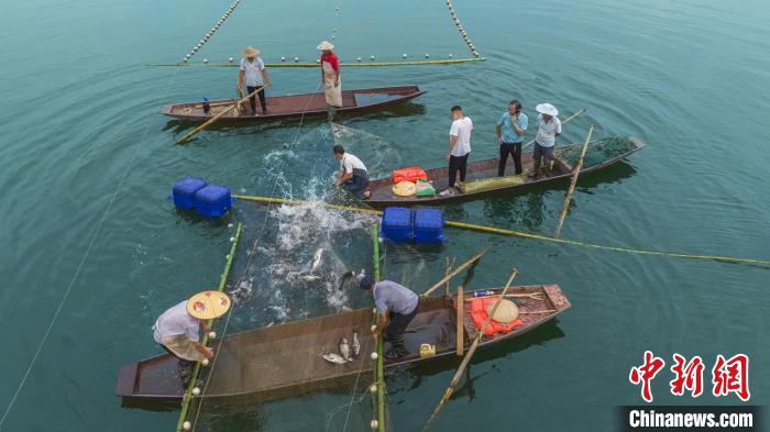 捕魚現(xiàn)場?！≈鬓k方供圖