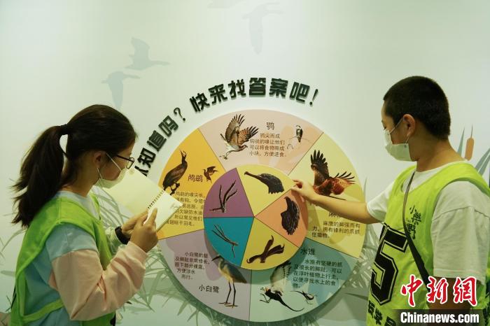 圖為小朋友在青海西寧湟水國家濕地公園科普館內(nèi)參觀學(xué)習(xí)?！●R銘言 攝