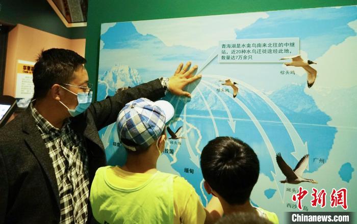 圖為小朋友在青海西寧湟水國家濕地公園科普館內(nèi)參觀學(xué)習(xí)?！●R銘言 攝