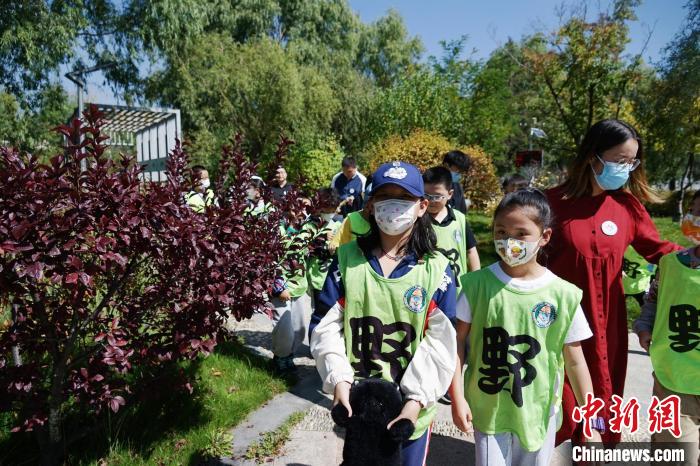 圖為小朋友在青海西寧湟水國家濕地公園內(nèi)認(rèn)識(shí)植物?！●R銘言 攝